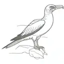 Fun Blue Footed Booby  tattoo design idea