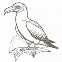 Blue Footed Booby  tattoo design idea