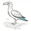 Blue Footed Booby  tattoo design idea