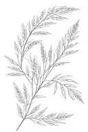 a branch of mimosa and an ear of wheat tattoo design idea