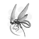 memorial dragon fly with the date 1960-2024 tattoo design idea