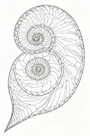 a Shell sorrounded by Fibonacci spiral tattoo design idea