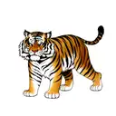 Tiger tattoo design idea